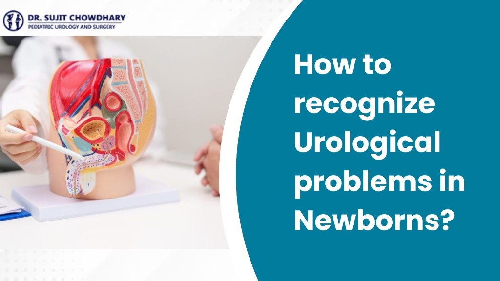 How to recognize urological problems in newborns - Pediatric Urology Medical Examination Model