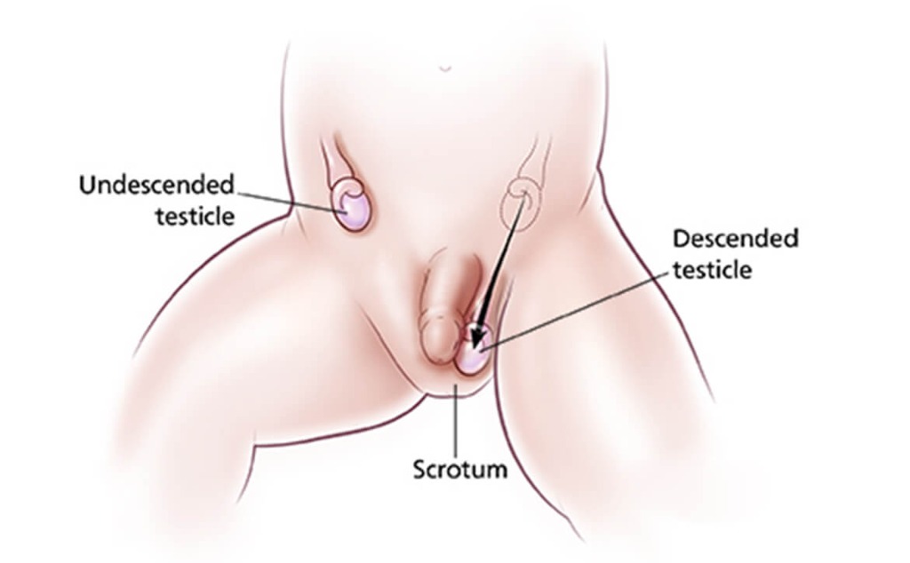 Service Illustration